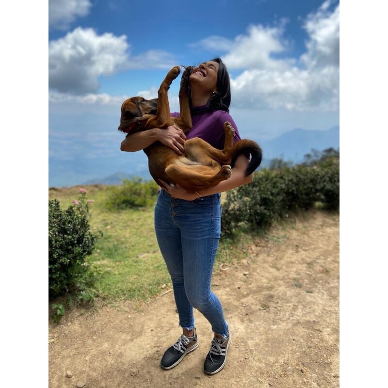 Regina cassandra new clicks viral chair