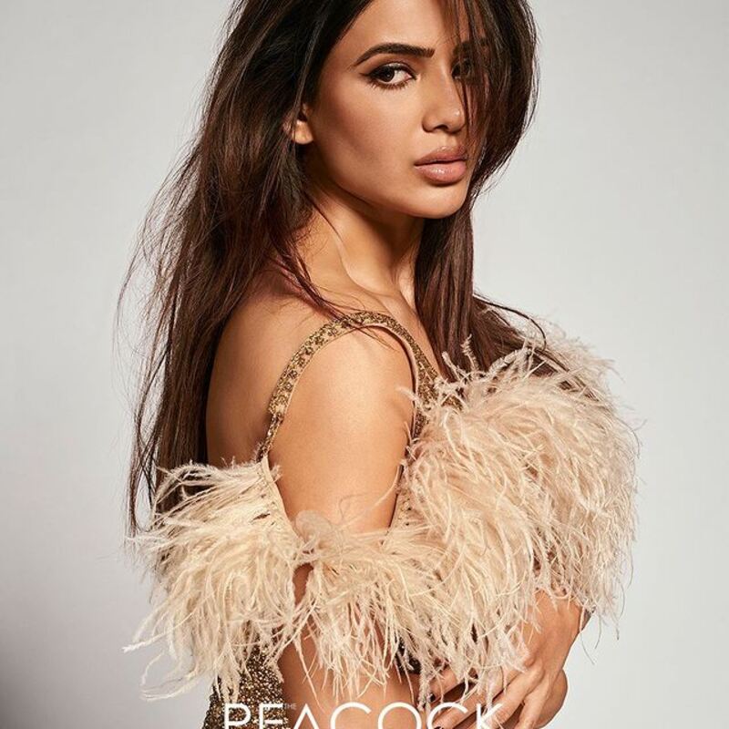 Samantha bag new clicks