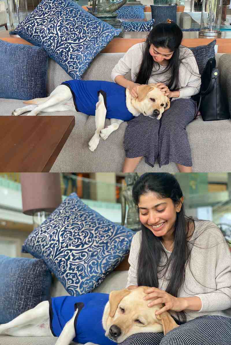 Sai pallavi with charlie