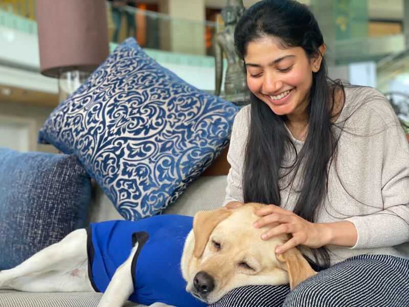 Sai pallavi with charlie