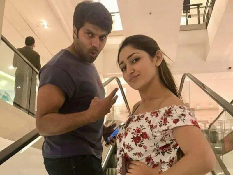 Arya sayyesha latest photo