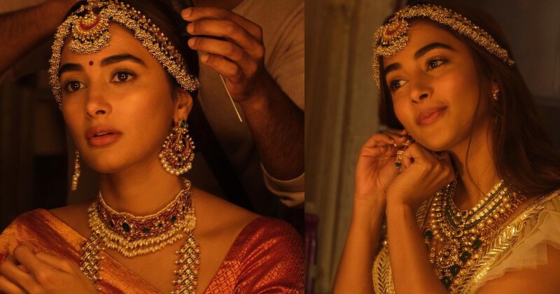 Pooja hedge new clicks