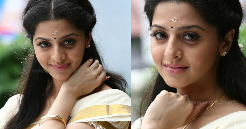 Vedhika back new click