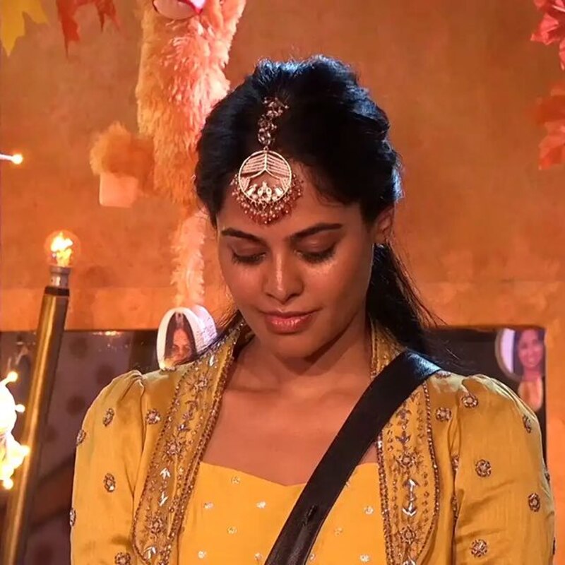 Bindu madhavi new clicks