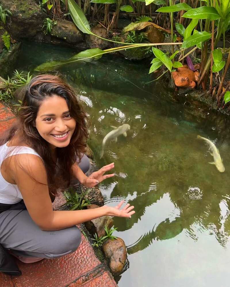 Nivetha pethuraj new clicks