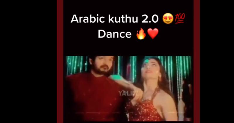 Vijay varisu movie video song viral