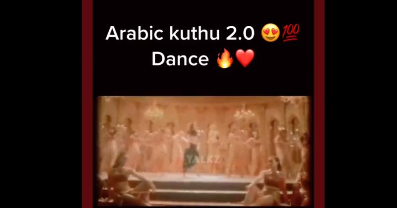 Vijay varisu movie video song viral