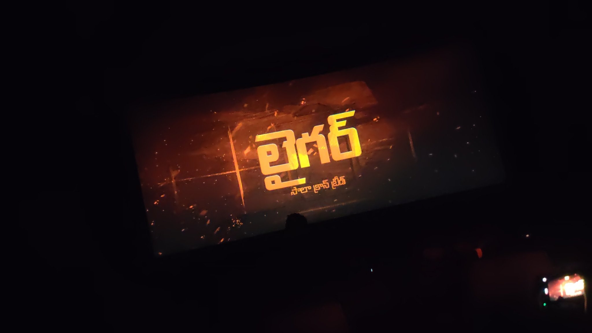 Liger movie review update