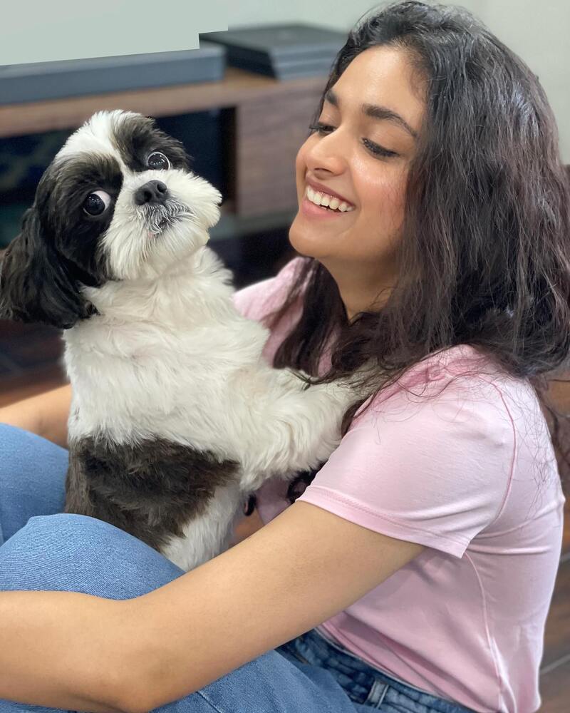 Keerthy suresh new dog hot clicks