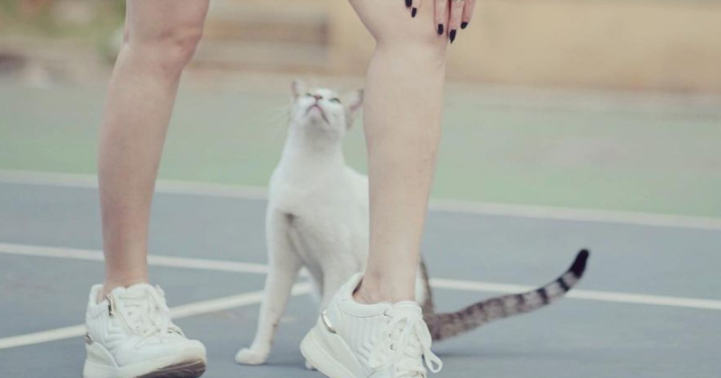 Vedhika latest photo viral