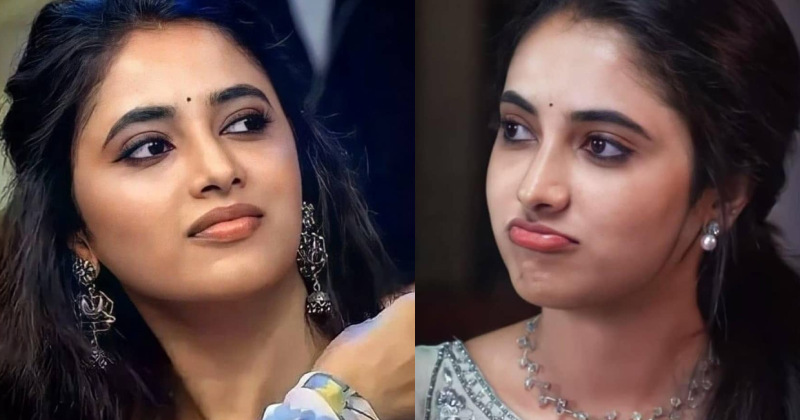 Priyanka mohan new photoshoot video viral