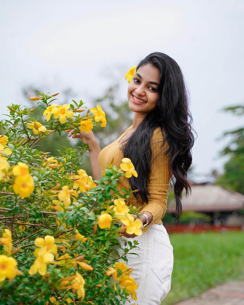 Ivana hero new movie