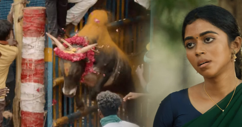 Pettaikaali video viral vetrimaaran