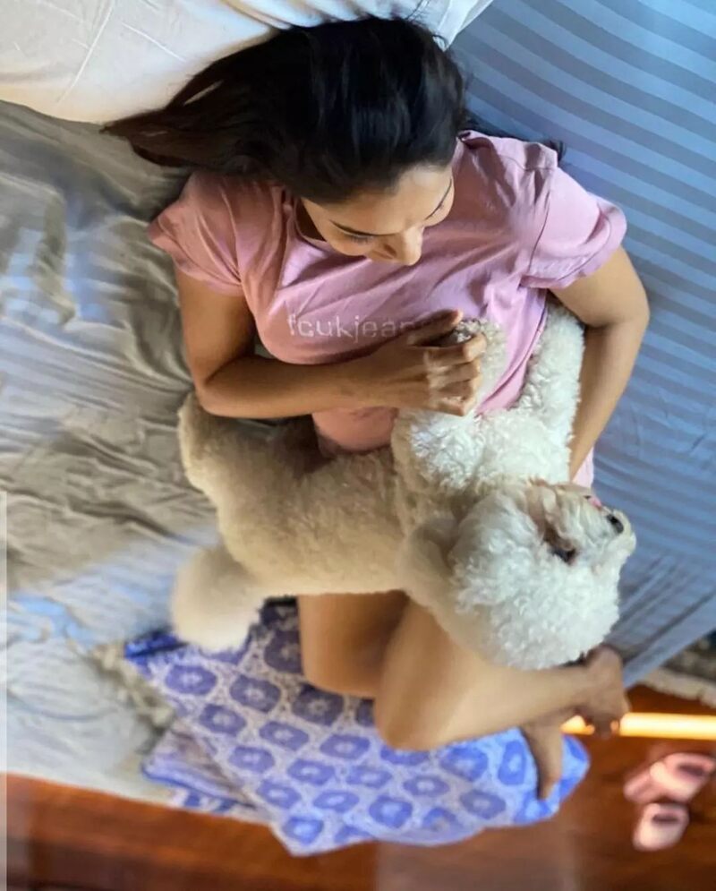 Andrea jeremiah new hot bed dog