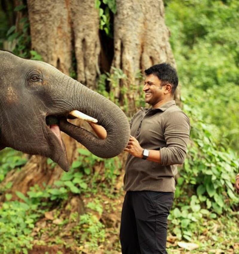 Puneeth rajumar 1st year anniversary