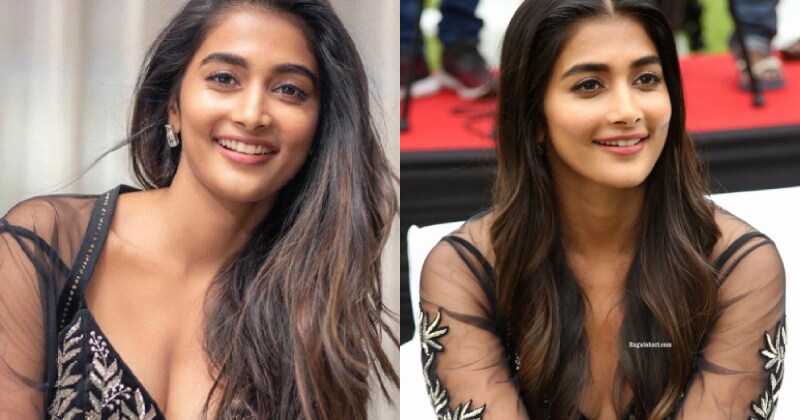 Pooja hegde new hot beast vedio
