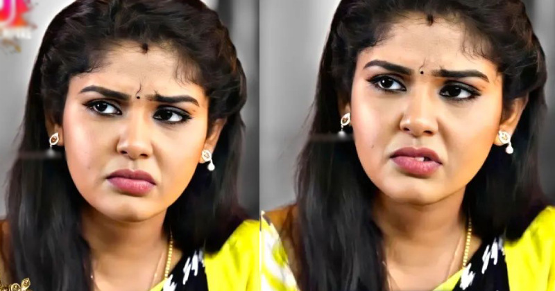 Hemaraj sathish new pandian stores vedio