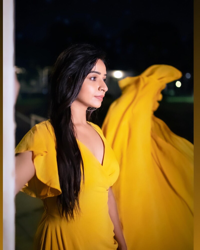 Divya ganesh new bhagya lakshmi clicks