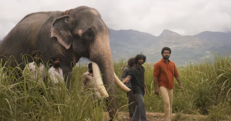 Ratha satchi latest video viral