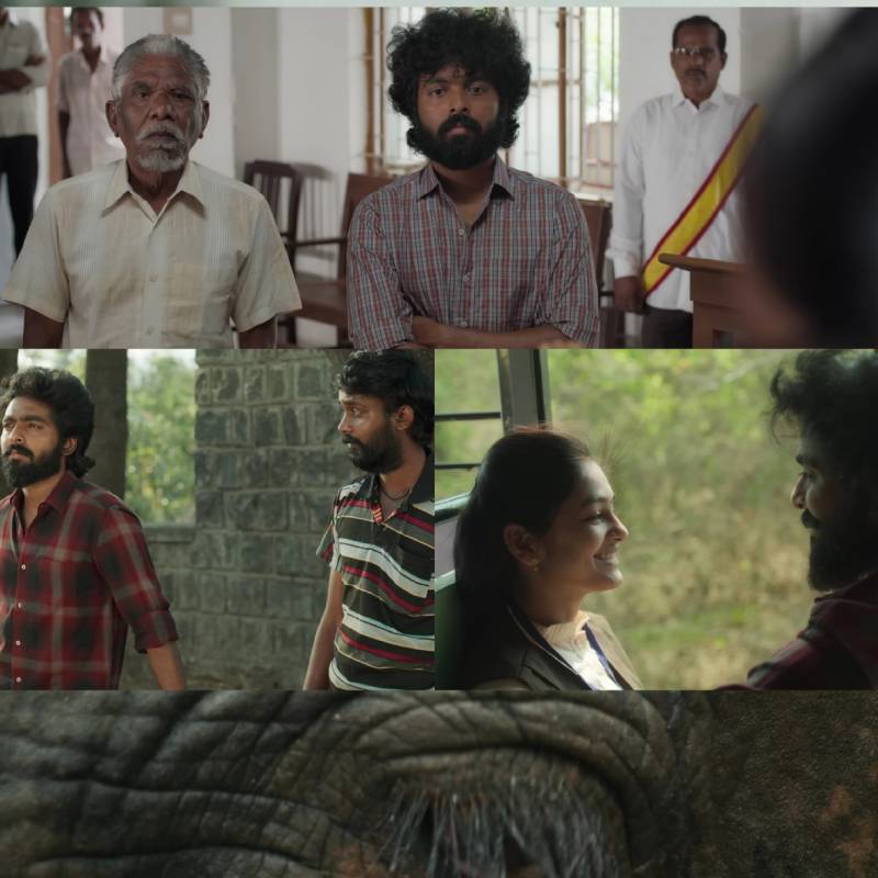 Kalvan teaser video viral