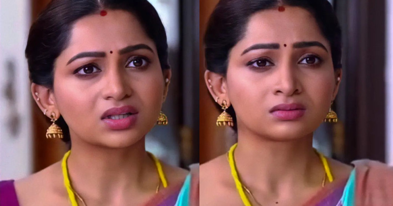 Nakshathranagesh vijay tv new actress serial