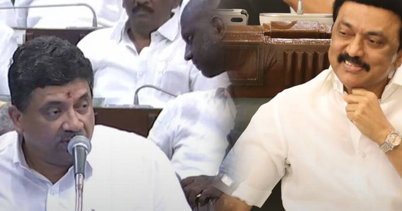 Dmk tn budget update