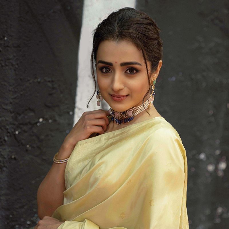 Trisha marraige update confirmed