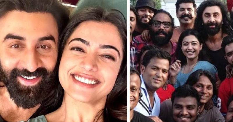 Animal look rashmika