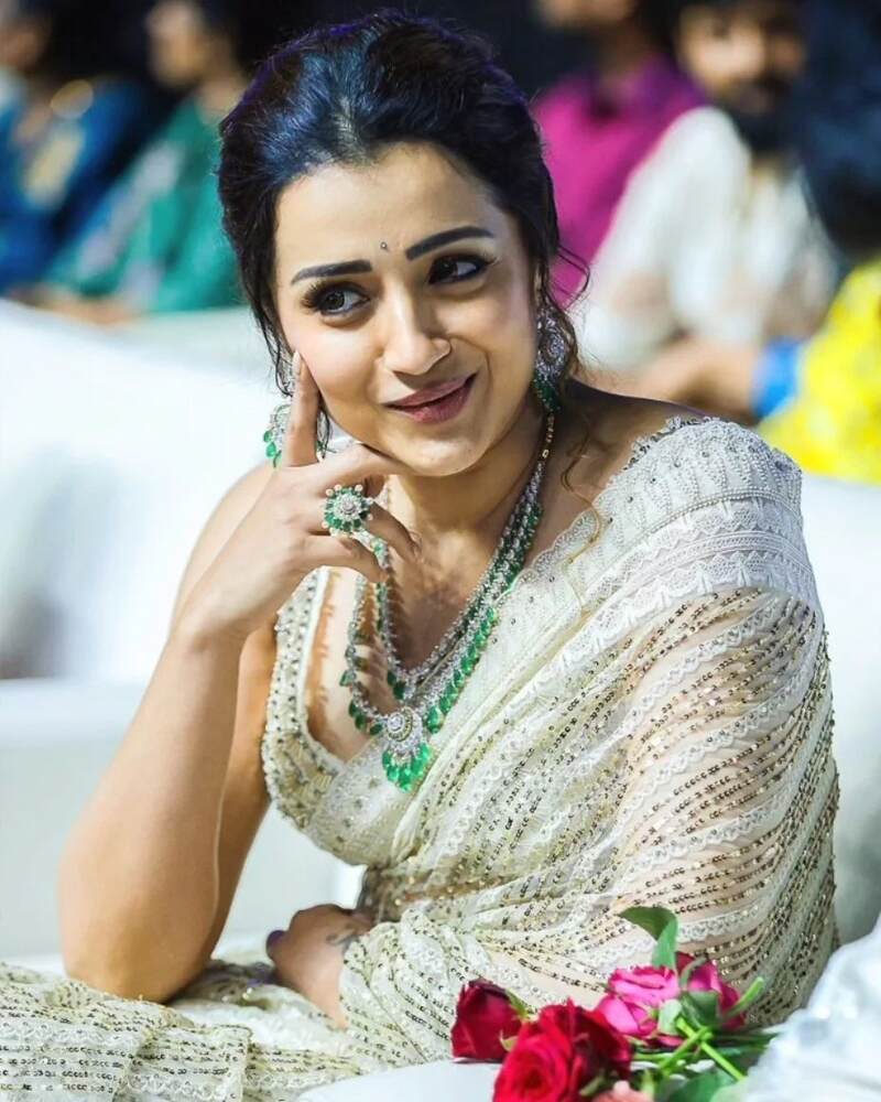 Trisha saree hot clicks new photos