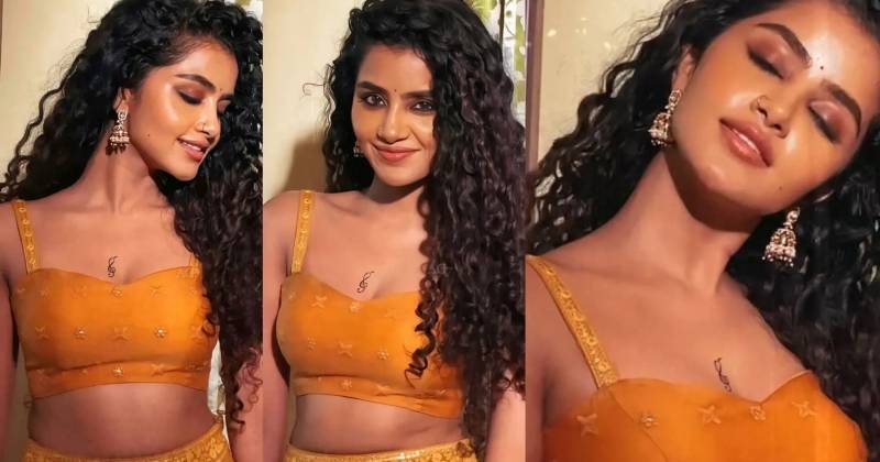 Anupamaparameswaran tillusquare movie poster