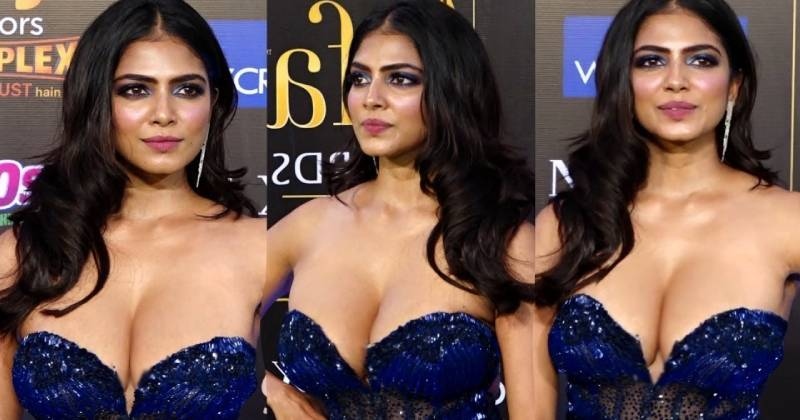 Malavika mohanan new clicks viral treanding