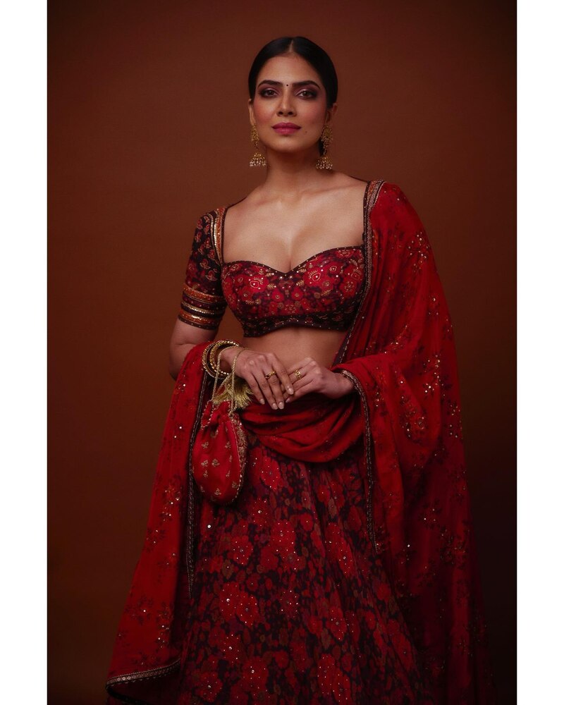 Malavika mohanan new function vedio viral