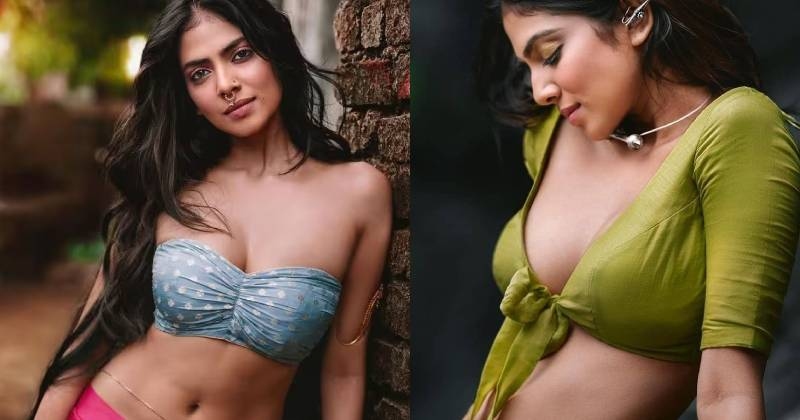 Malavika mohanan new function vedio viral